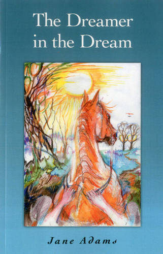 The Dreamer in the Dream book cover by Jane Adams