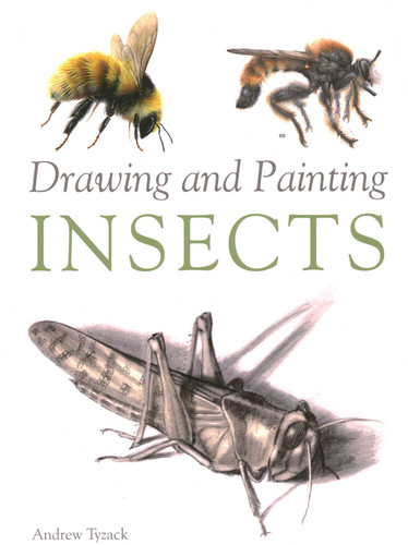 Drawing and Painting Insects book cover by Andrew Tyzack