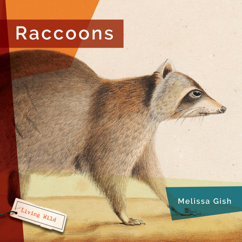 Raccoons book cover by Melissa Gish