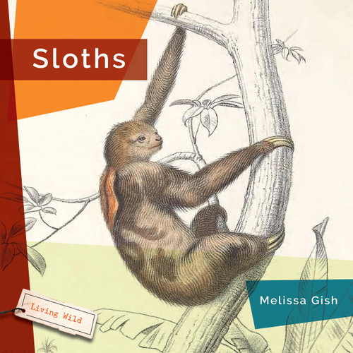 Sloths book cover by Melissa Gish