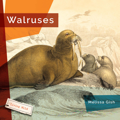 Walruses book cover by Melissa Gish