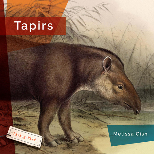 Tapirs book cover by Melissa Gish