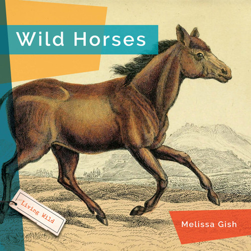 Wild Horses book cover by Melissa Gish