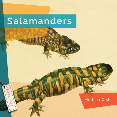 Salamanders book cover by Melissa Gish