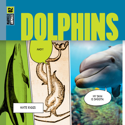Dolphins book cover by Kate Riggs