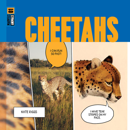 Cheetahs book cover by Kate Riggs