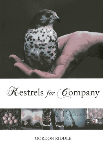 Kestrels for Company book cover by Gordon Riddle