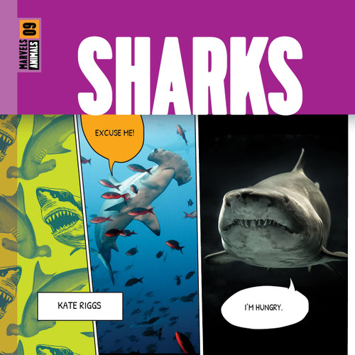 Sharks book cover by Kate Riggs
