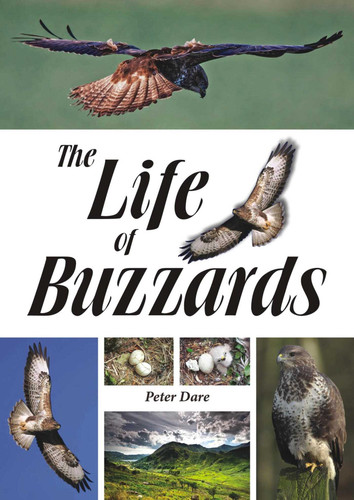 The Life of Buzzards book cover by Dr. Peter Dare