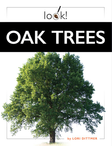 Oak Trees book cover by Lori Dittmer