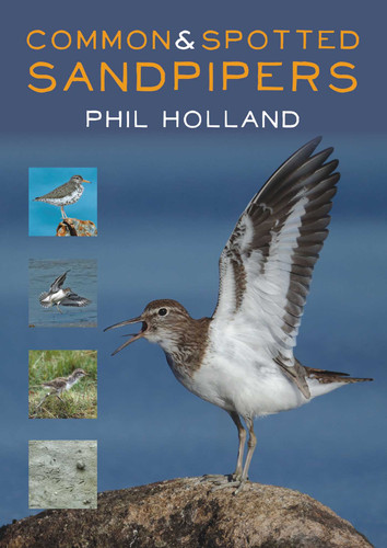 Common & Spotted Sandpipers book cover by Phil Holland