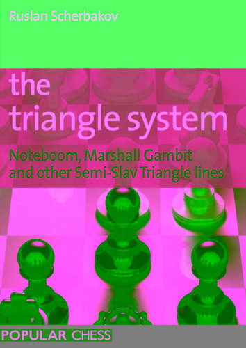 Triangle System book cover by Ruslan Scherbakov