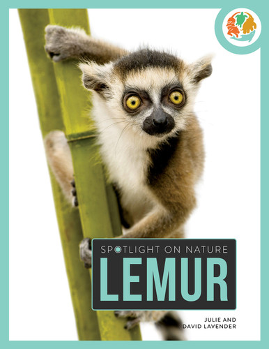 Lemur book cover by Julie and David Lavender