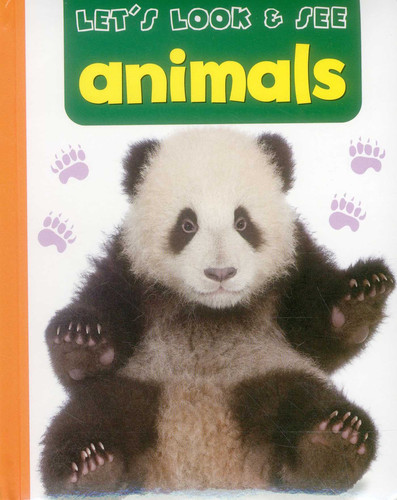 Let's Look & See: Animals book cover by Armadillo