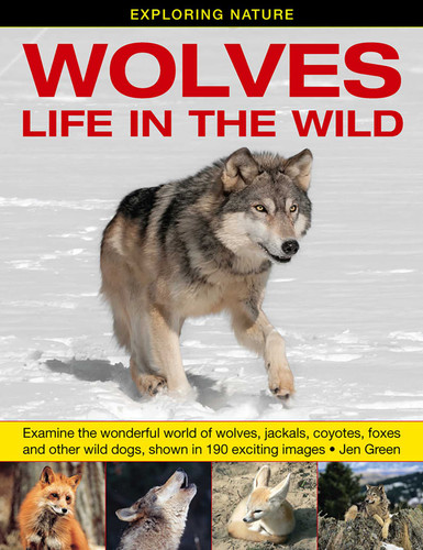 Exploring Nature: Wolves - Life In The Wild: Examine The Wonderful World Of Wolves, Jackals, Coyotes, Foxes And Other Wild Dogs, Shown In 190 Exciting Images. book cover by Jen Green
