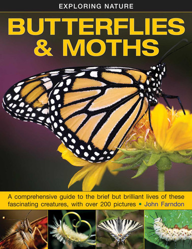 Exploring Nature: Butterflies & Moths: A Comprehensive Guide To The Brief But Brilliant Lives Of These Fascinating Creatures, With Over 200 Pictures book cover by John Farndon