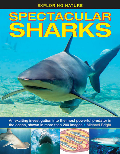 Exploring Nature: Spectacular Sharks: An Exciting Investigation Into The Most Powerful Predator In The Ocean, Shown In More Than 200 Images book cover by Michael Bright