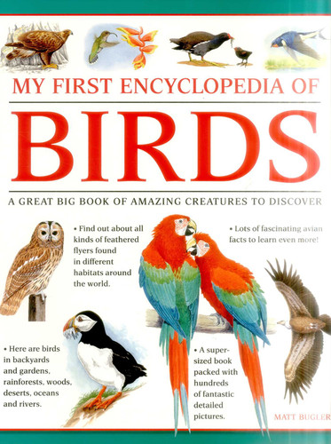 My First Encylopedia of Birds: A First Encyclopedia With Supersize Pictures book cover by Matt Bugler