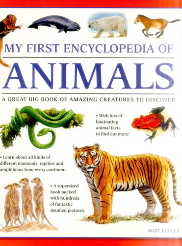 My First Encylopedia of Animals: A First Encyclopedia With Supersize Pictures book cover by Matt Bugler