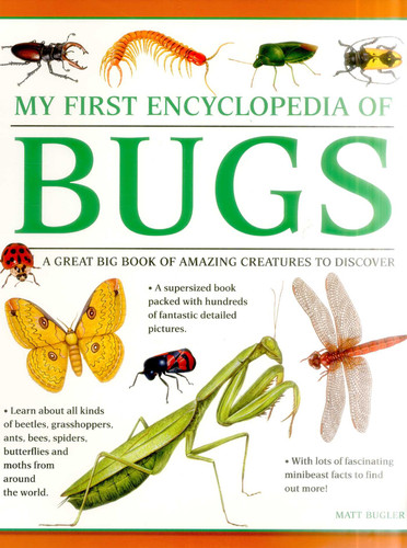 My First Encylopedia of Bugs: A First Encyclopedia With Supersize Pictures book cover by Matt Bugler