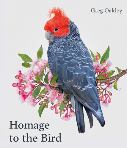 Homage to the Bird book cover by Greg Oakley