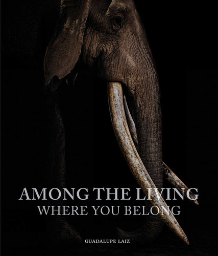 Among the Living: Where You Belong book cover by Guadalupe Laiz