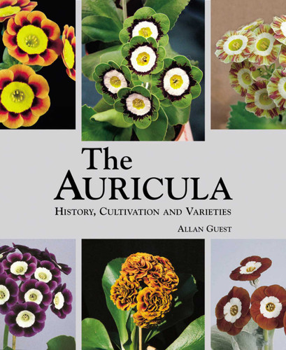 Auricula: History, Cultivation and Varieties book cover by Allan Guest