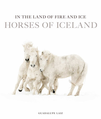 In the Land of Fire and Ice: Horses of Iceland book cover by 