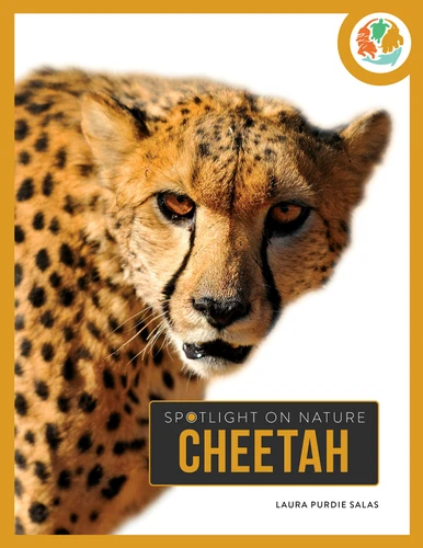 Cheetah book cover by Laura Salas