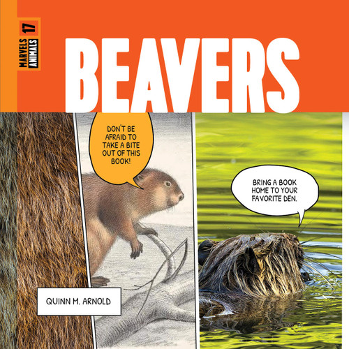 Beavers book cover by Quinn M. Arnold