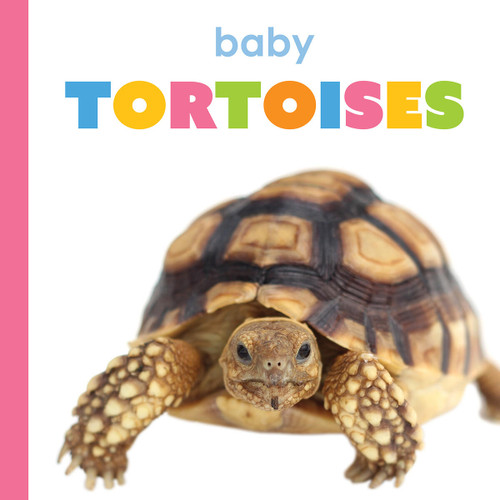 Baby Tortoises (Starting Out) book cover by Meg Greve