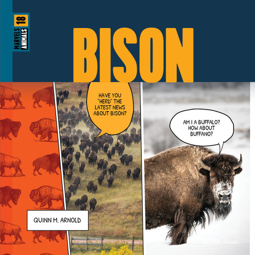 Bison book cover by Quinn M. Arnold