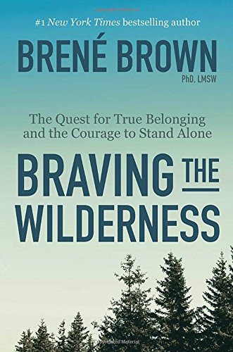 Braving the Wilderness: The Quest for True Belonging and the Courage to Stand Alone Cover