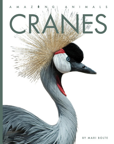 Cranes book cover by Mari Bolte