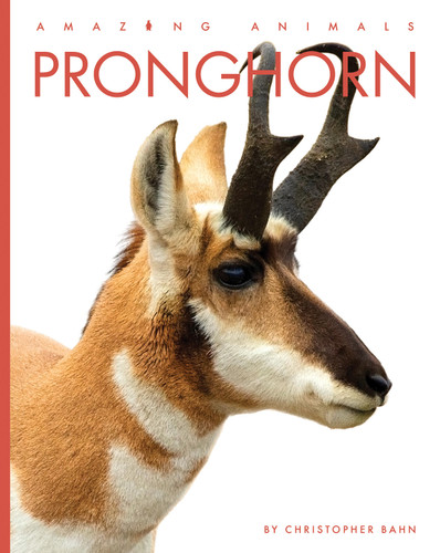 Pronghorn book cover by Christopher Bahn