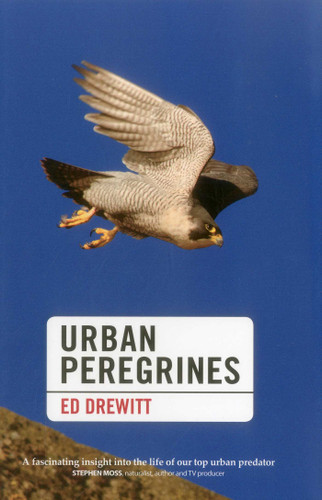 Urban Peregrines book cover by Ed Drewitt