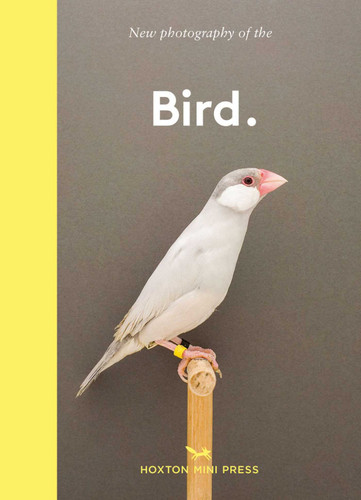 New photography of the Bird. book cover by Gemma Padly