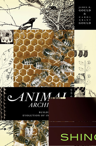 Animal Architects: Building and the Evolution of Intelligence book cover by James L Gould, Carol Grant Gould