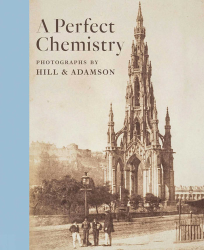 Perfect Chemistry book cover by Anne M. Lyden