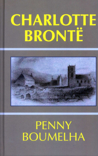 Charlotte Bronte book cover by Penny Boumelha