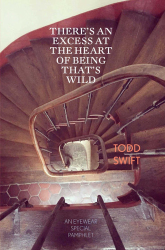 There's An Excess At The Heart Of Being That's Wild book cover by Todd Swift