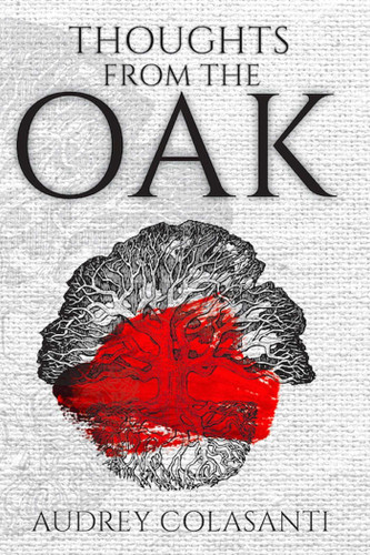 Thoughts from the Oak book cover by Audrey Colasanti