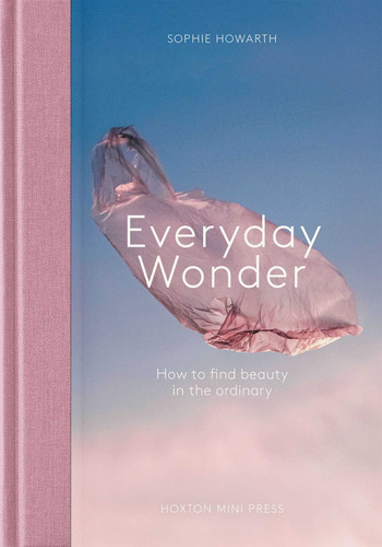 Everyday Wonder book cover by Sophie Howarth