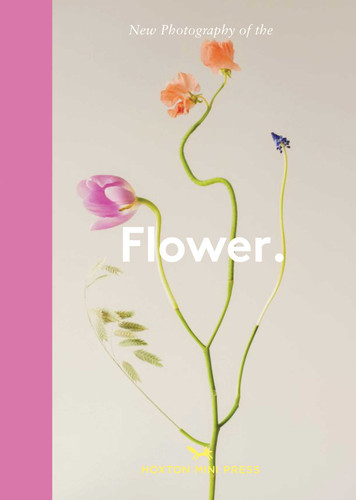 New Photography of the Flower. (New Photography of the) book cover by Lucy Davies