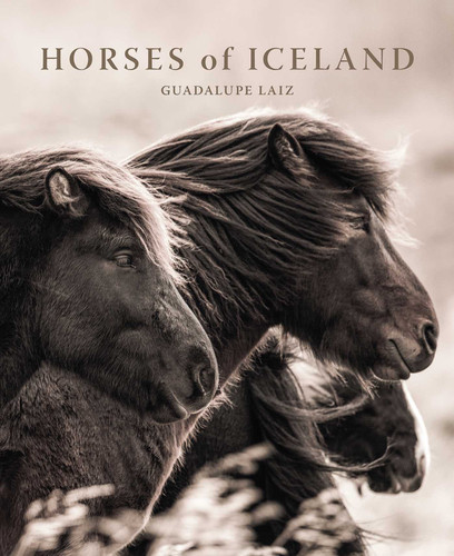 Horses of Iceland book cover by Guadalupe Laiz