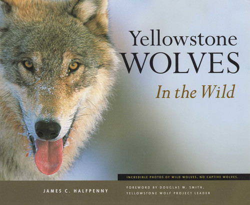 Yellowstone Wolves in the Wild book cover by James C Halfpenny