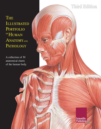 The Illustrated Portfolio of Human Anatomy and Pathology book cover by 