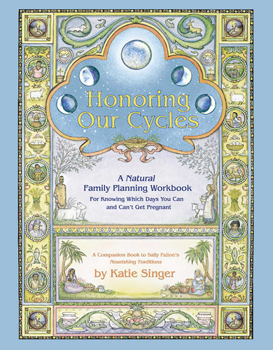 Honoring Our Cycles: A Natural Family Planning Workbook book cover by Katie Singer