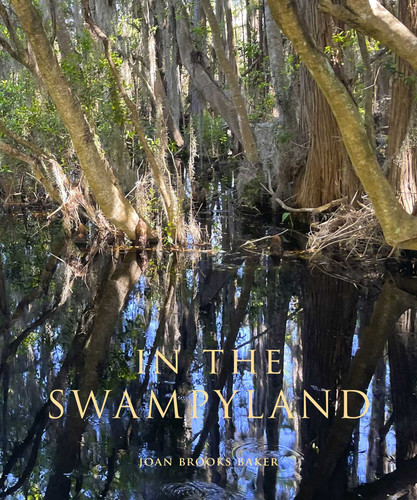 In the Swampyland book cover by Joan Brooks Baker