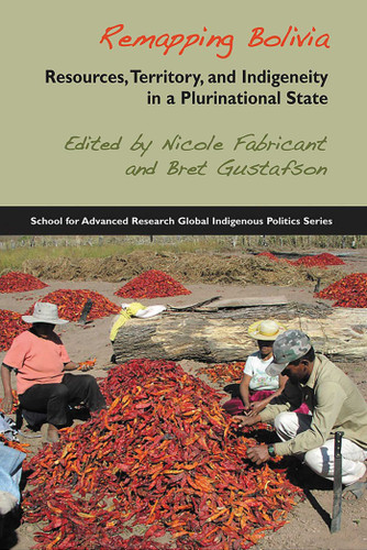 Remapping Bolivia: Resources, Territory, and Indigeneity in a Plurinational State (School for Advanced Research Global Indigenous Politics Series) book cover by 